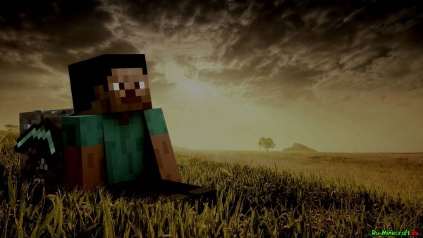 Стив сидит в поле