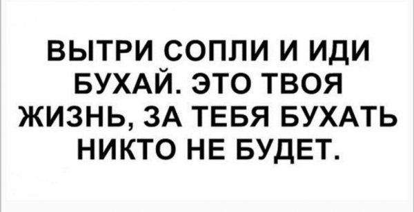 Пошли бухать прикол