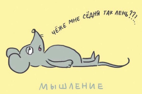 Мышь ленится