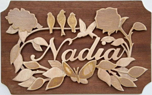 Логотип из имени Надежда