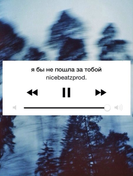 Я бы не пошел за тобой