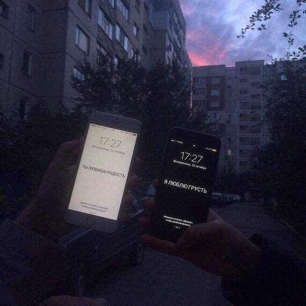 Грустные сохры