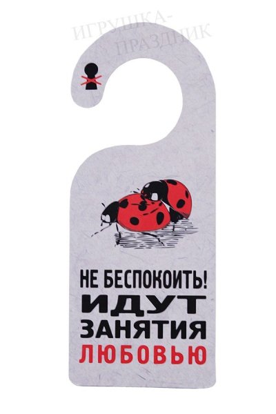 Табличка не беспокоить на дверь