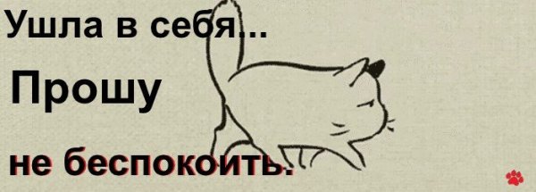 Ушла в себя не беспокоить