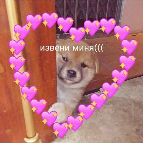Пикча с извинениями