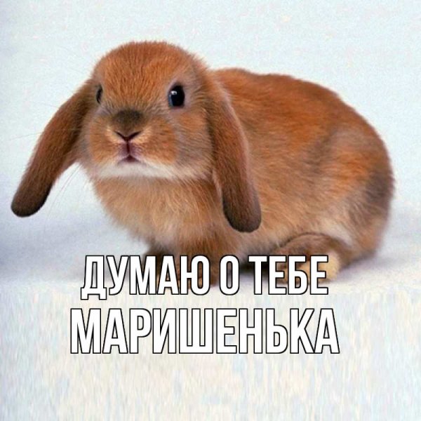 Кролл ВАЛАКАС