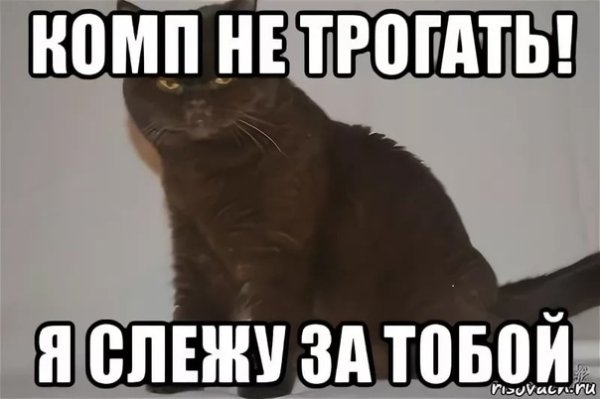 Не трогать компьютер