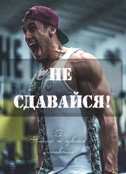 Никогда не сдаваться фото