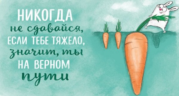 Смешные цитаты про мотивацию