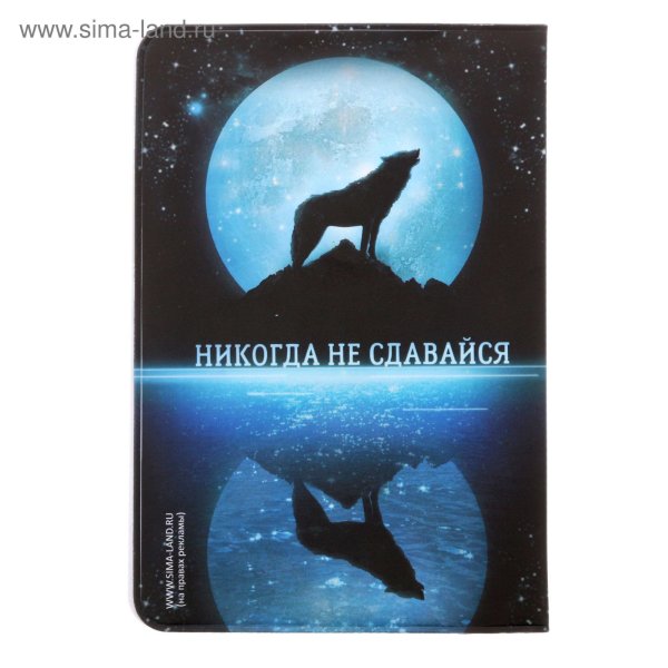 Никогда обложка