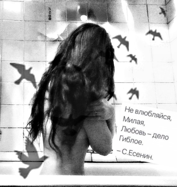 Любовь дело гиблое