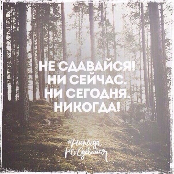 Никогда несдавайс мотивация