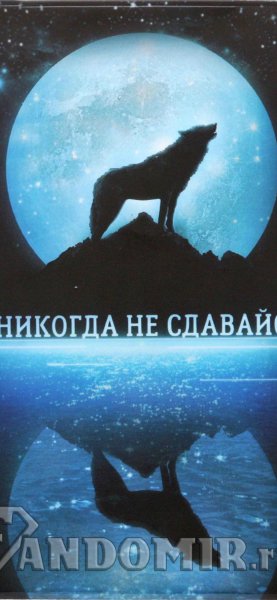 Никогда не сдавайся заставка на телефон