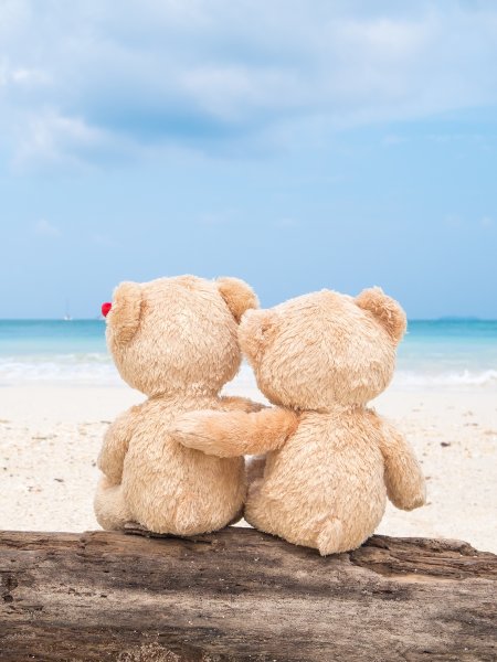 Влюбленные мишки