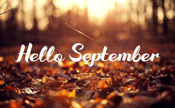Хелло септембер