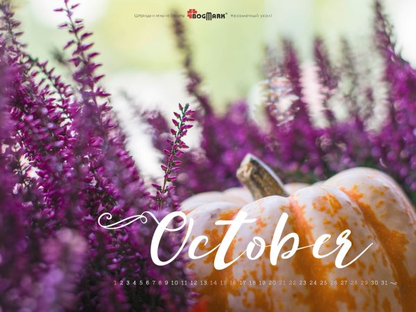 Заставка на рабочий стол осень