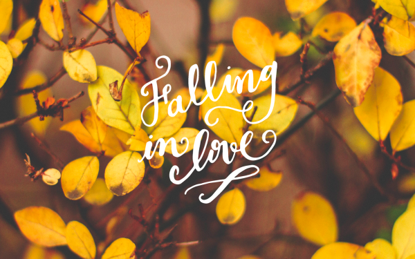 Надпись осень Эстетика