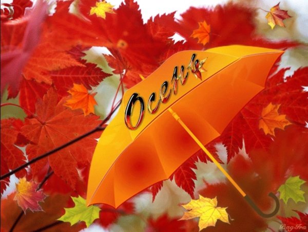 Осень сентябрь