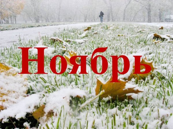 Ноябрь картинки для детей