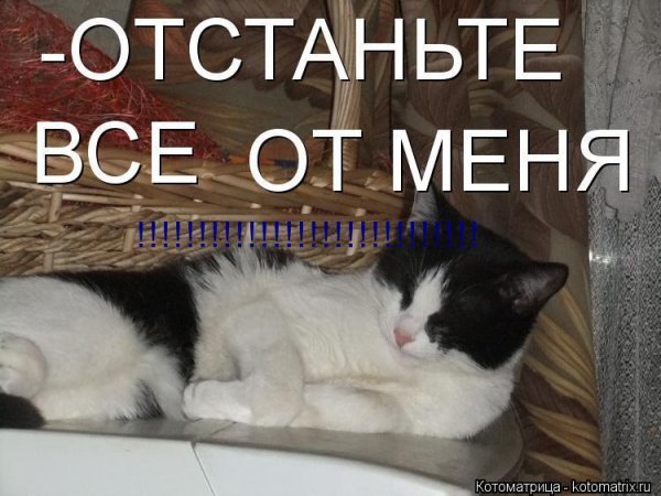 Отстаньте от меня картинки