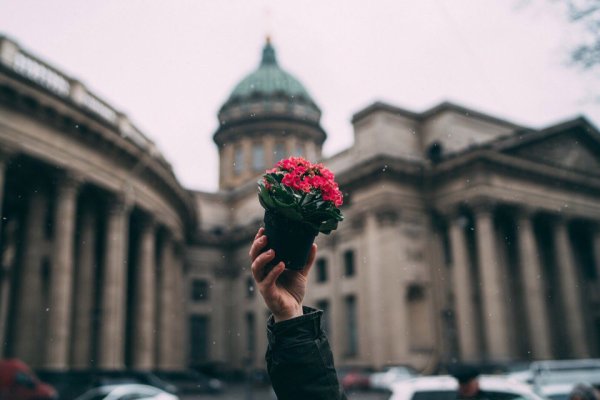 Питер навсегда в Моем сердце