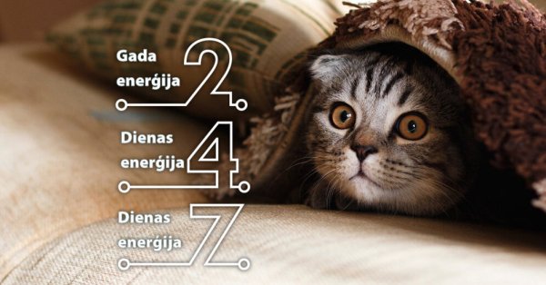 Опять понедельник