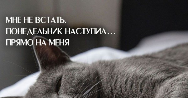 Вечер понедельника