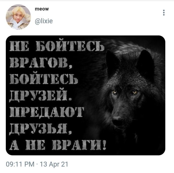 Друзья предатели