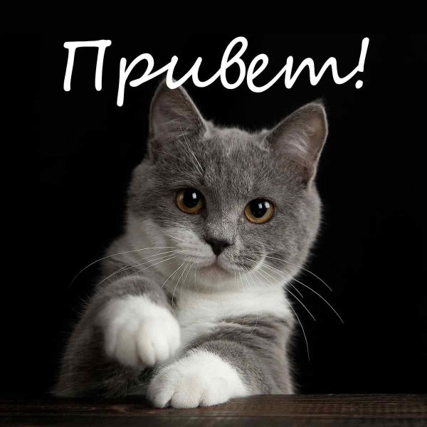 Привет картинки