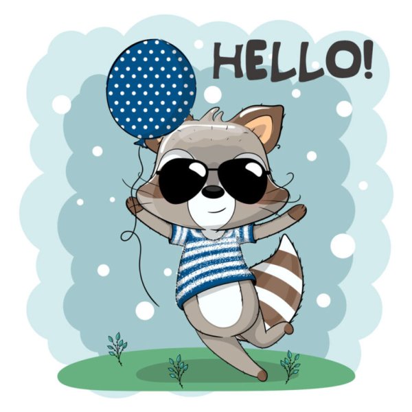 Енот привет