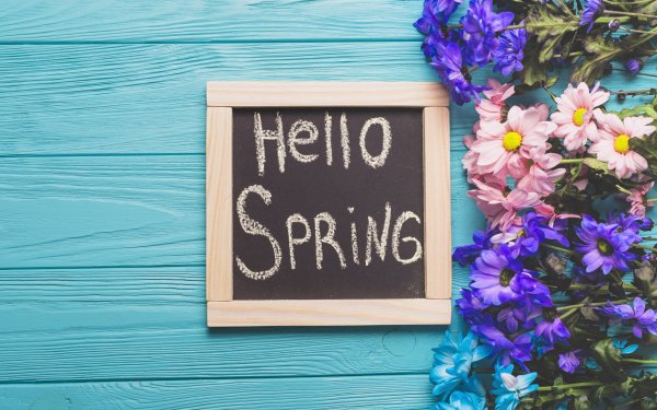 Hello Spring обои на рабочий стол