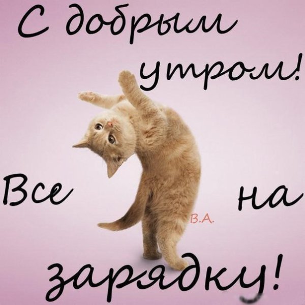 Доброе утро Соня