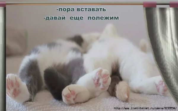 Открытка пора просыпаться