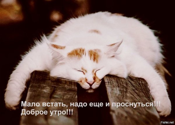 Открытки проснулись