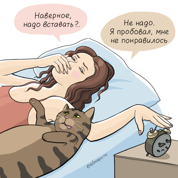 Просыпайся прикольные