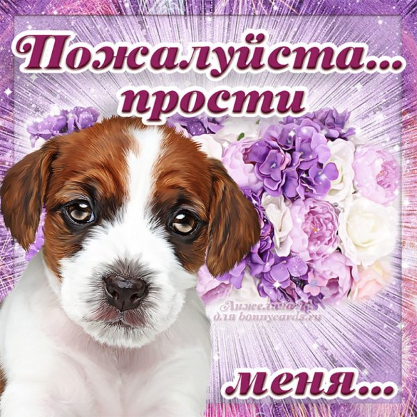 Прости меня