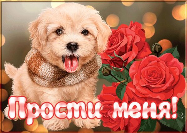 Открытка прости меня