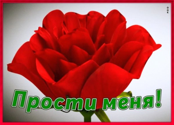 Цветы с извинениями