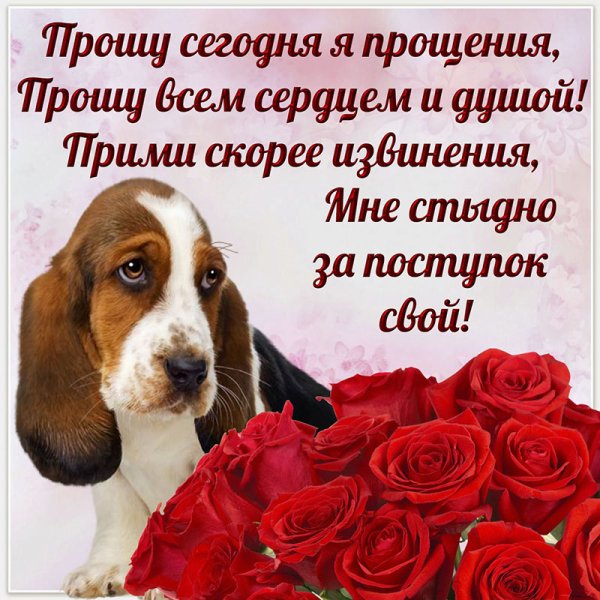 Открытка "прости"