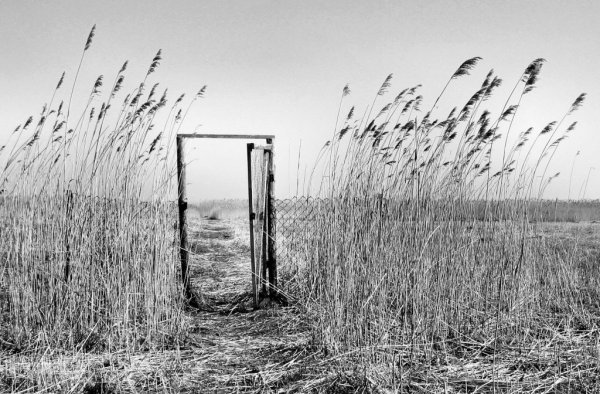 Пустота в душе