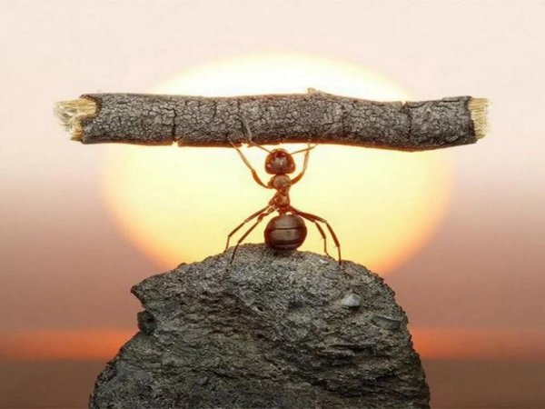 Способы самомотивации