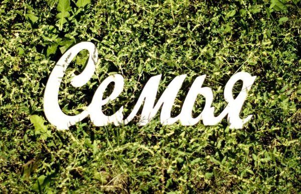 Моя семья надпись