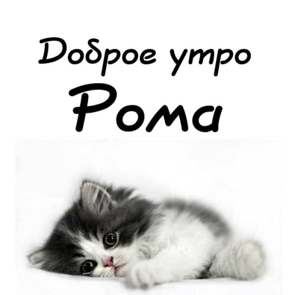 Рома я тебя люблю