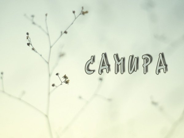 Самира надпись