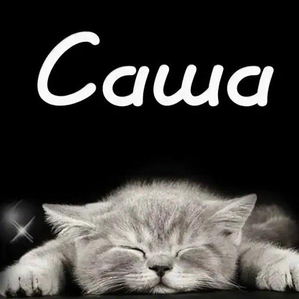 Надпись саше