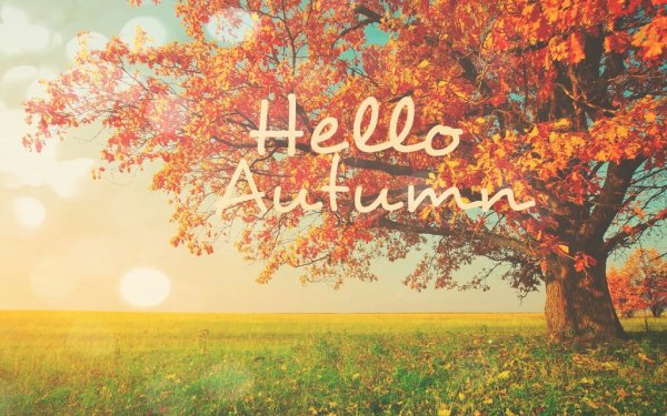 Осень на английском