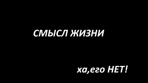 О смысле жизни