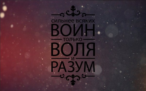Красивые фразы на обои