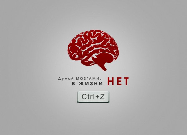 Думай мозгами