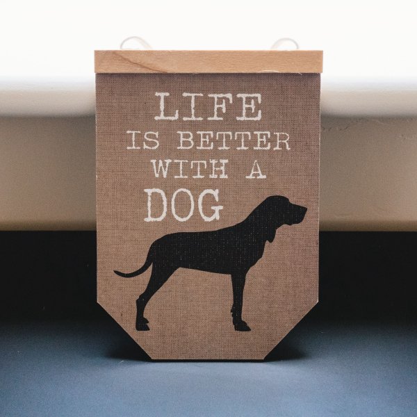 Красивая надпись собака